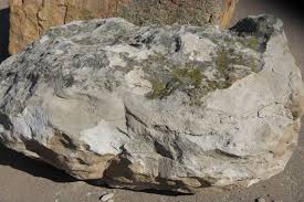 Holbrook moss rock